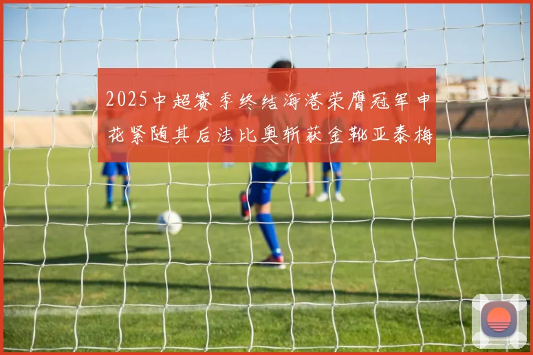 2025中超赛季终结海港荣膺冠军申花紧随其后法比奥斩获金靴亚泰梅州遗憾降级