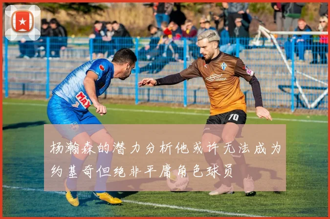 杨瀚森的潜力分析他或许无法成为约基奇但绝非平庸角色球员