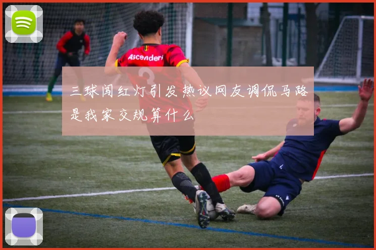 三球闯红灯引发热议网友调侃马路是我家交规算什么