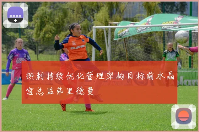 热刺持续优化管理架构目标前水晶宫总监弗里德曼